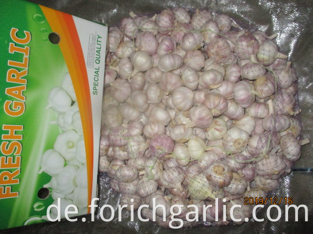 How To Preserve Garlic Bulbs